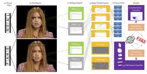 model video deepfake