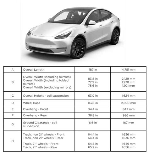 model y dimensions mm