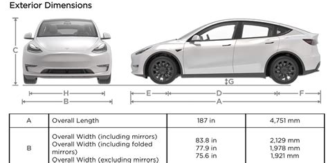 model y length and width