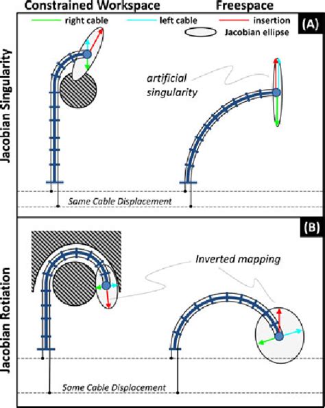 Model-Less Feedback Control Of Continuum Manipulators In Constrained Environments