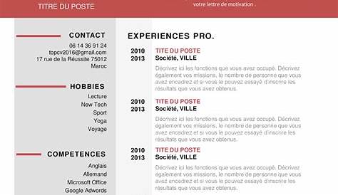 Modele Cv Francais 2018 Exemple De Professionnel En Laboitecv.fr