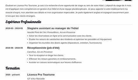 Modele De Cv Simple Francais Exemple CV En Français à Télécharger Gratuit CV Word