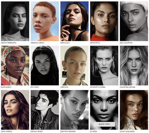 Modeling Agencies That Need Models