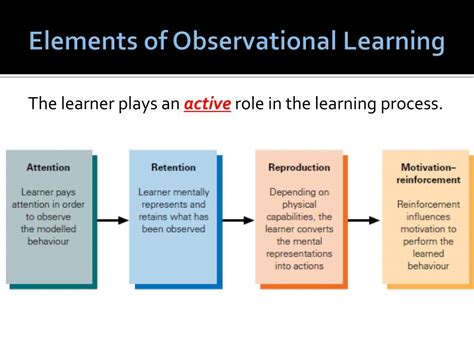 Modeling Observational Learning Examples