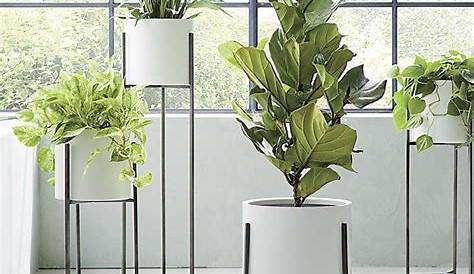 Tall Pedestal Plant Stand Ideas On Foter