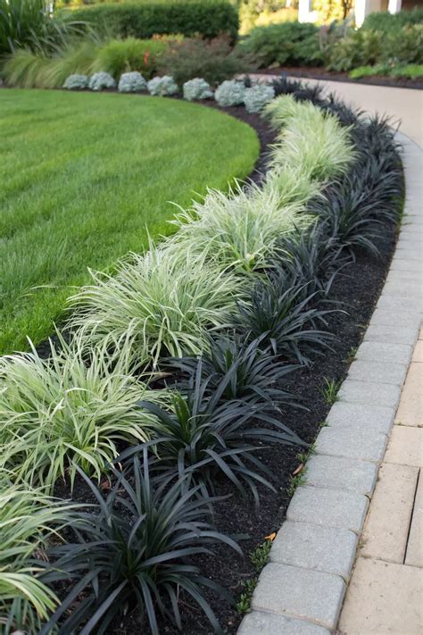 Mixed herbaceous border 1000 in 2020 Garden shrubs, Cottage garden