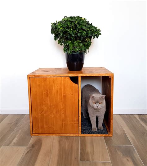 eveningstarbooks.info:modern cat litter box enclosure