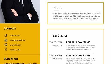 Les meilleurs exemples des CV designs et modernes format