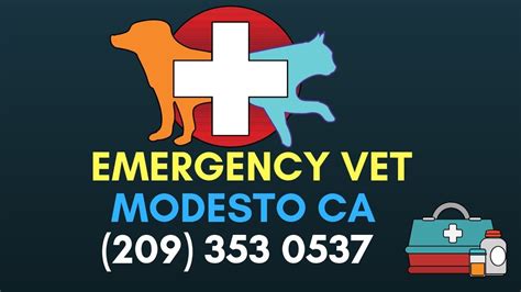 modesto emergency vet clinic