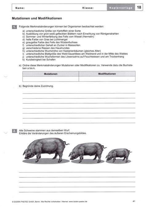 Unvergesslich Mutation Und Modifikation Arbeitsblatt Lösungen Sie Jetzt Versuchen Müssen