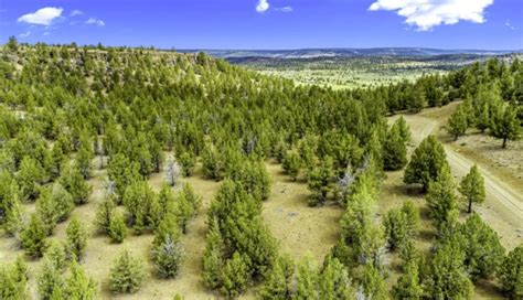 Modoc County Land Auction