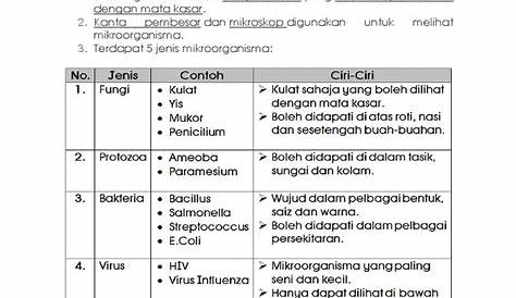 Modul Sains Tahun 6 - Panitia Sains Daerah LMS | PDF