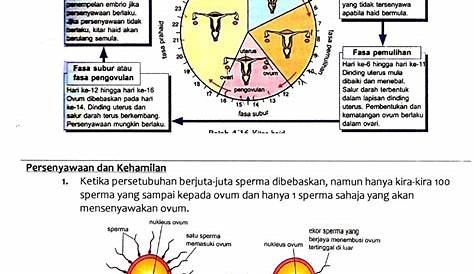 Sektor Pembelajaran Jabatan Pendidikan Negeri Perak: Modul Sains