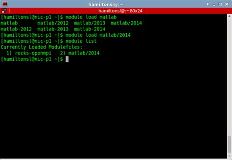module load list