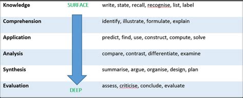 module meaning in education example