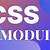 modules css react