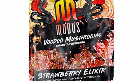 Modus Voodoo Mushrooms Gummies