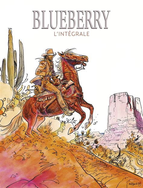 moebius blueberry