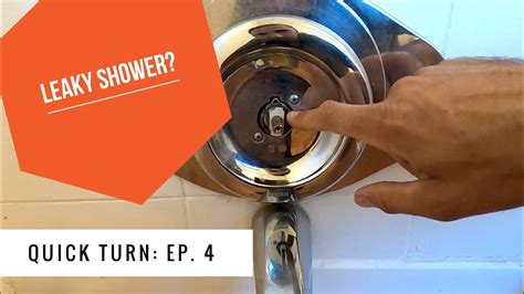 Moen Adler Shower Faucet Leaking