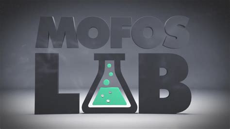 mofos lab 2