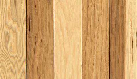 Pelham Hickory, Hickory Natural Hardwood Flooring Mohawk Flooring