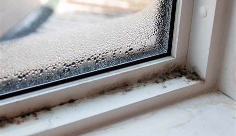 Taches de moisissure sous fenêtre