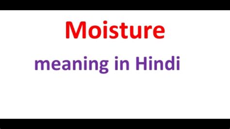moisture means in hindi