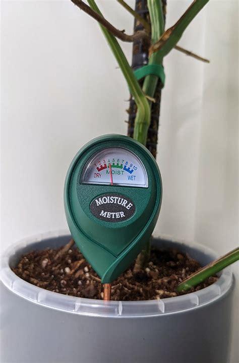 Moisture Meter For Monstera