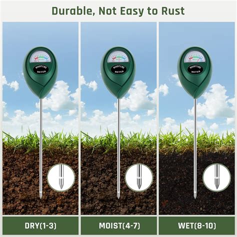 Moisture Meter Plant Guide