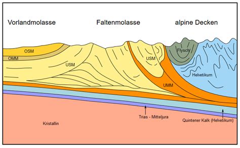 Molasse Definition Larousse