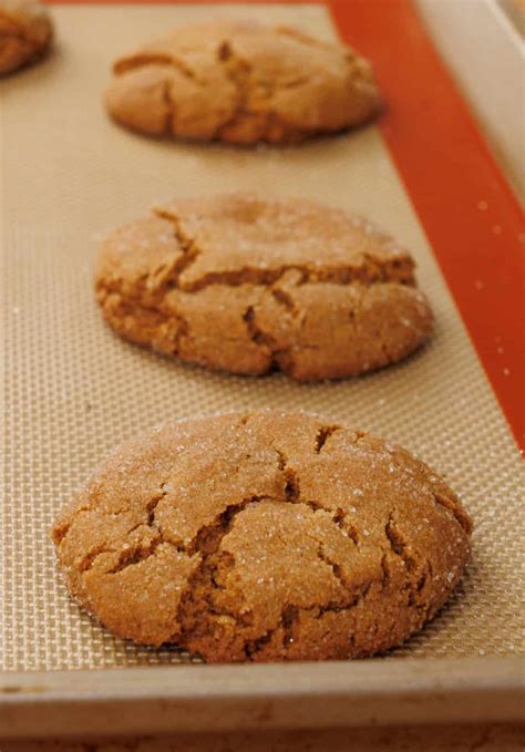 Molasses Cookies Too Flat
