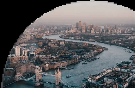 mold and pollen counts by zip code