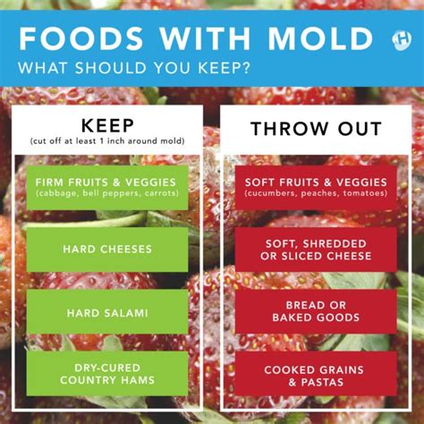 mold in foods list