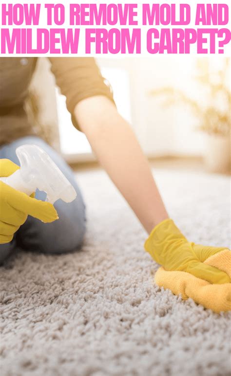 Mold Mildew Carpet Cleaning