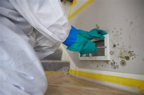 Mold Mildew Remediation