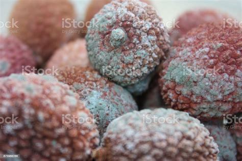 mold on lychee