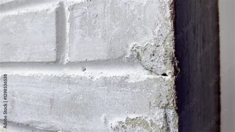 Mold On Painted Brick
