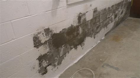 Mold On Painted Cinder Block