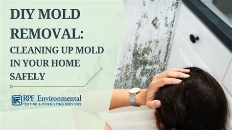 2020 DIY Mold Removal FHA.co