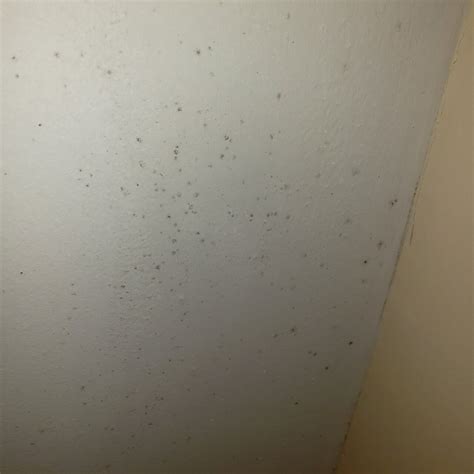 mold spots on ceiling in bedroom