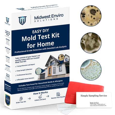 Mold Test Kit Price