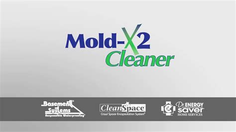 Mold X Cleaner