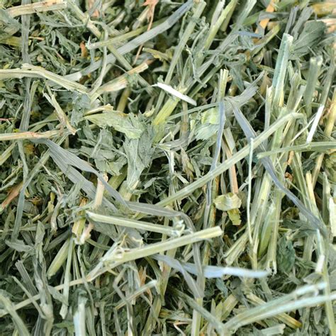moldy alfalfa hay