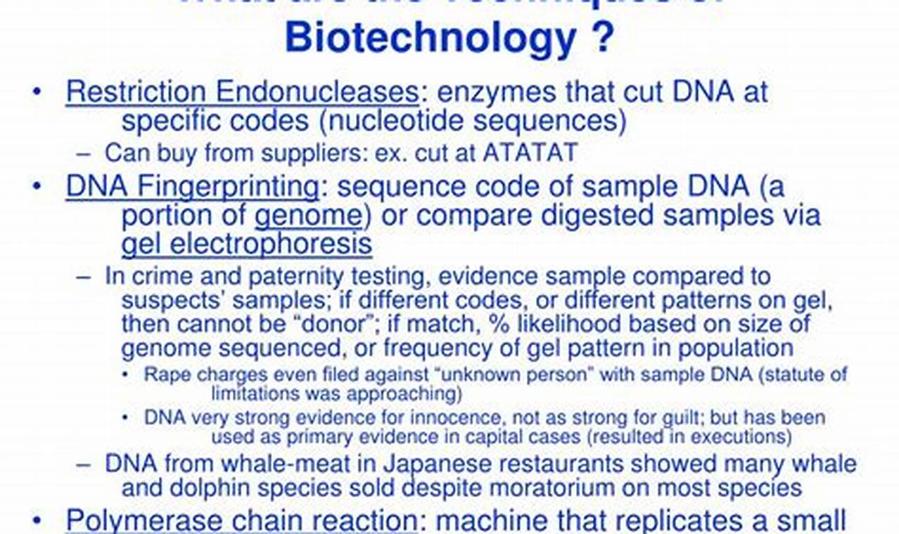 Empowering Biotech: A Comprehensive Guide to Molecular Biotechnology Techniques
