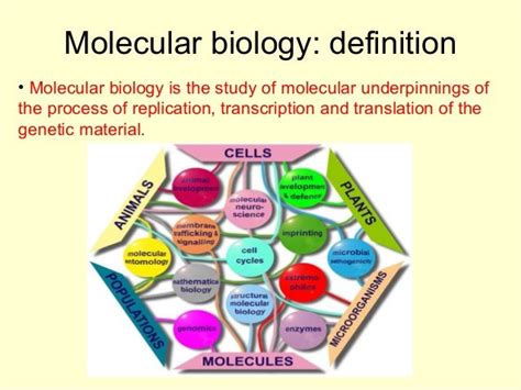 molecular biology definition biology