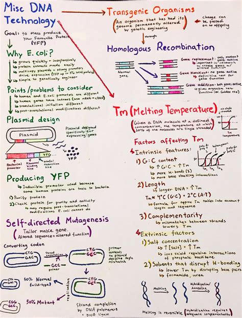 molecular biology pdf notes