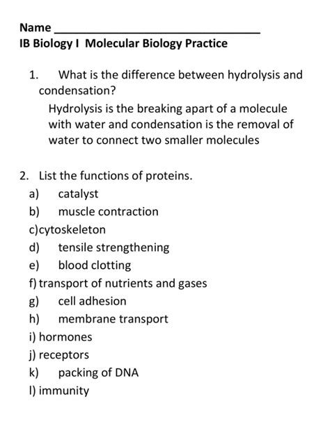 molecular biology questions and answers pdf