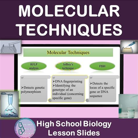 Molecular Biology Techniques Slides