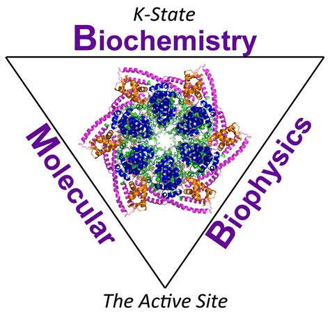 molecular biophysics and biochemistry