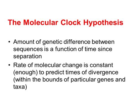 Molecular Clock Hypothesis Divergence